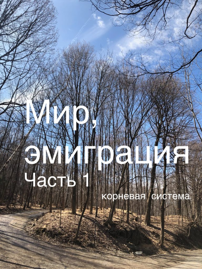 Корневая система - как мы связаны с местом, где живем